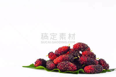 食品,水果,桑叶,桑椹,白色背景,分离着色,果汁,水平画幅,素食