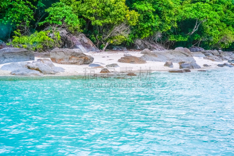 海滩,山,风景,森林,伊比沙岛,奥克兰区,水湾,石英,马德拉,大西洋群岛