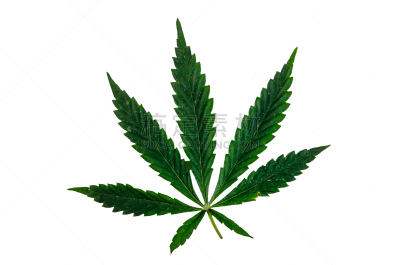 白色,叶子,分离着色,青光眼,塔法里教教徒,萨满,休闲活动,古典式,草,消遣性药物