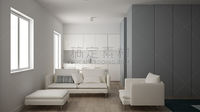 扶手椅,沙发,小的,厨房,建筑,公寓,干净,镶花地板,极简构图,概念