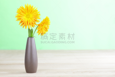 金盏草,褐色,仅一朵花,花瓶,金盏花,自然,水平画幅,绿色,木制,无人
