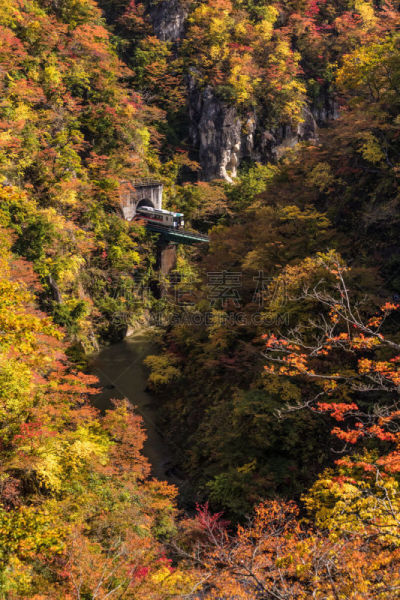 秋天,沟壑,分界线,垂直画幅,旅行者,户外,山,大崎市,东北片区,小溪