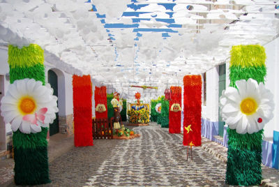 乡村,街道,传统,阿连特茹,华丽的,事件,美术工艺,复古风格,传统节日,色彩鲜艳