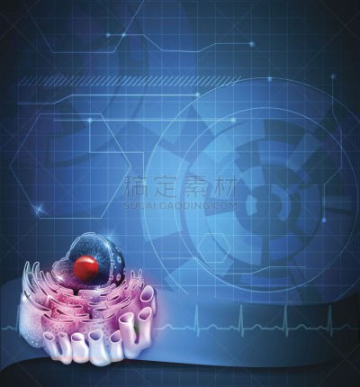 细胞核,蓝色背景,内质网,染色质,屈肌,核糖体,膜,生物学,微生物学,健康保健