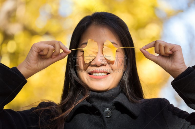 银杏,人的眼睛,叶子,女人,手,黄色,明治神宫外苑,外套大衣,银杏树,秋季系列