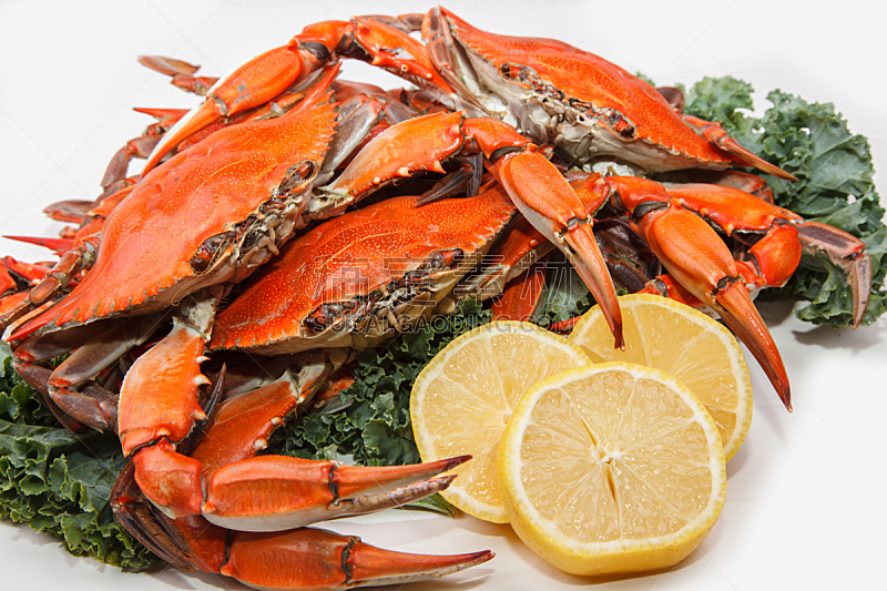 蒸菜,白色背景,蓝蟹,大洋城,煮食,水平画幅,膳食,海产,柠檬,螃蟹