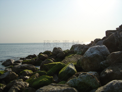 地形,平底船,浮桥,浮式平台,跳台,水,水平画幅,绿色,岩石