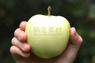 苹果,手,摩托艇,白色,拿着,特写,天空,夏天,草,仅成年人