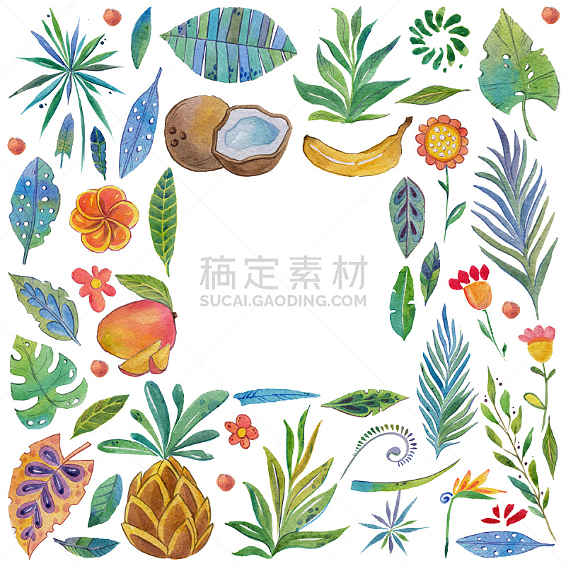 式样,热带灌木,水彩画,水果,八角金盘属,五加科,喜林芋属,花烛属,热带音乐,蕨类
