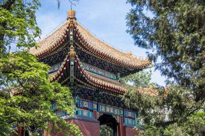 北京,中国,寺庙,建筑外部,雍和宫店,雍和宫,中文,汉字,天空,灵性