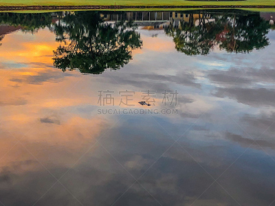 湖,短吻鳄属,动物头,水,天空,沙子,曙暮光,沼泽,柏树,海滩