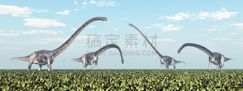 恐龙,蜥脚类,古生物学,颈,已灭绝生物,史前时代,自然,天空,水平画幅,无人