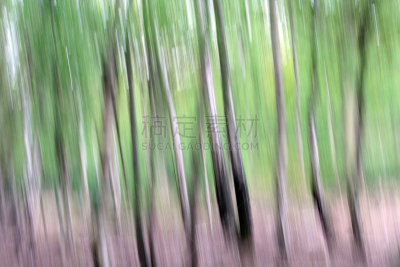 抽象,森林,混沌,纹理效果,枝繁叶茂,早晨,错觉,夏天,想法,动机