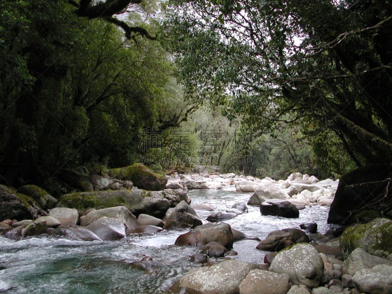 新西兰,米佛峡湾,米尔弗德,水,新的,水平画幅,岩石,无人,噪声,南