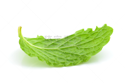 薄荷叶,绿薄荷,自然,水平画幅,绿色,无人,有机食品,胡椒薄荷,健康保健,香料