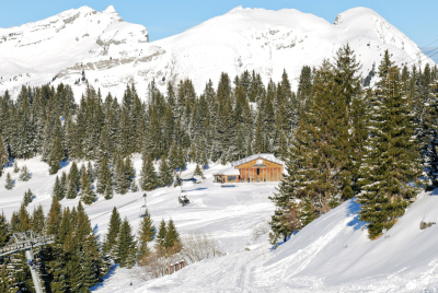 山,滑雪运动,居住区,阿沃里阿兹,morzine,滑雪痕,度假胜地,水平画幅,雪,滑雪坡