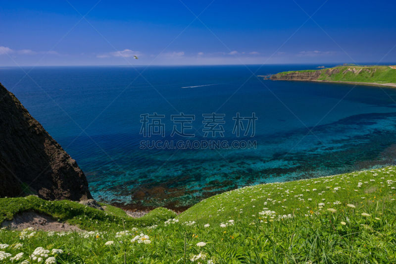 礼文岛,自然,风景,云,图像,海洋,太平洋,自然美,无人,里山