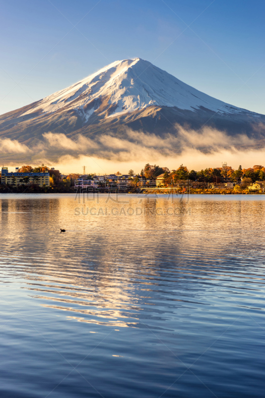 富士山,山,富士河口湖,河口湖,凹陷的,垂直画幅,天空,灵性,雪,无人