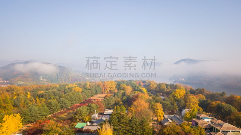 韩国,首尔,秋天,航拍视角,岛,美,水平画幅,银杏,旅行者,户外