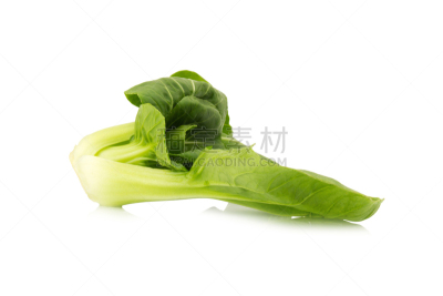 婴儿,油菜,白色背景,分离着色,农业,蔬菜,清新,食品,成分,农场