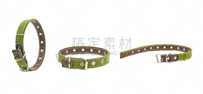 宠物项圈,个人随身用品,水平画幅,丁字裤,带子,皮革,安全,特写,白色,抑制的