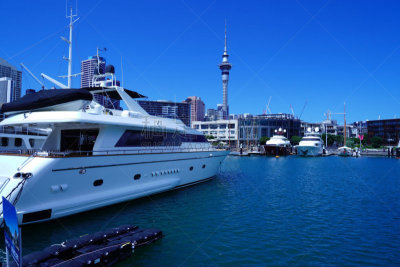 游艇,海港,天空塔,奥克兰,桨叉架船,国际著名景点,船,商务,豪华游艇,华贵