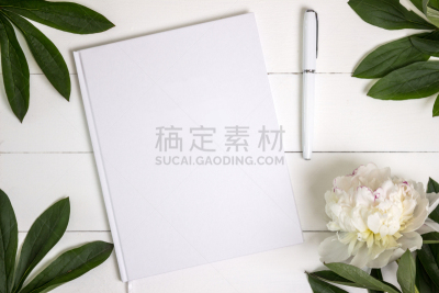 空白的,婚礼,白色,书,笔记本,留言簿,平装书,手册,水香花菜