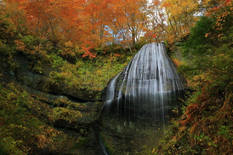 叶子,秋天,shiraito falls,水,天空,水平画幅,瀑布,户外,植物,山