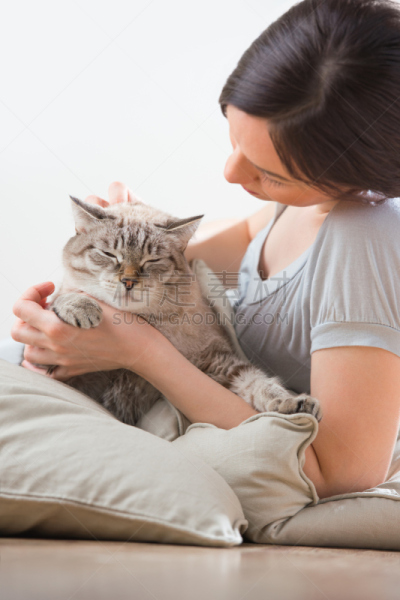 猫,女人,舒服,枕头,垂直画幅,四肢,仅成年人,疲劳的,头发