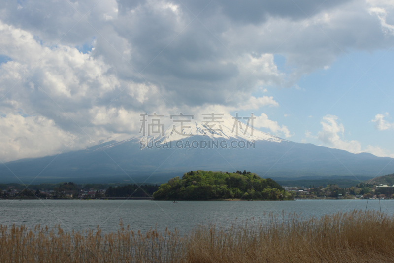 富士山,湖,山,河口湖,富士河口湖,山梨县,倒影湖,自然,水,天空