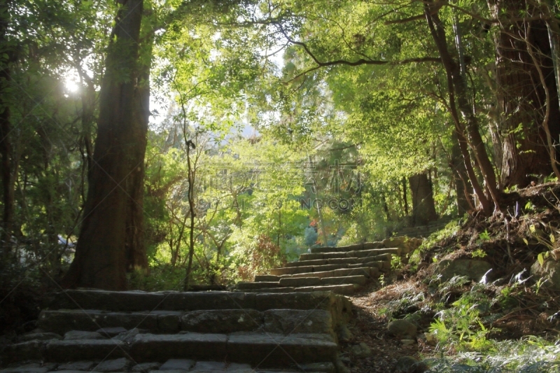 熊野古道,日本,和歌山县,山,海上航道,世界遗产,环境保护,小路,户外,天空