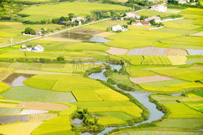 田地,稻,乡村,水稻梯田,水,水平画幅,山,运河,户外,草