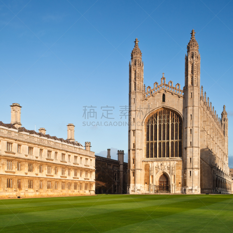 剑桥大学,小礼拜堂,后花园,讲师,古老的,英格兰,草坪,旅行者,户外