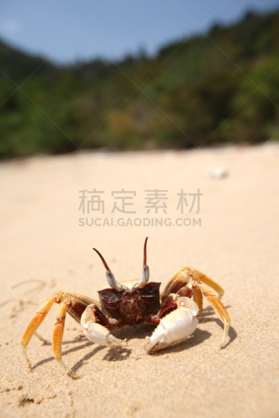 安达曼海,海滩,皮皮群岛,攀牙府,垂直画幅,无人,普吉岛,户外,泰国,海洋