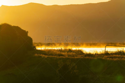 金色,地形,背面视角,环境,天气,草,夏天,户外,天空,晴朗