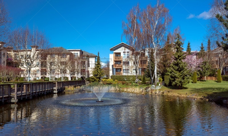 Residential District in Richmond City with pond and fountain, blossom of sakura, green grass bushes and trees in the territory of residential complex, Vanсouver, British Columbia