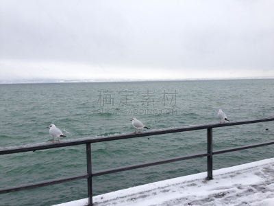 腓特烈斯哈芬,博登湖,水平画幅,地形,景观设计,雪,无人,户外,湖,冬天