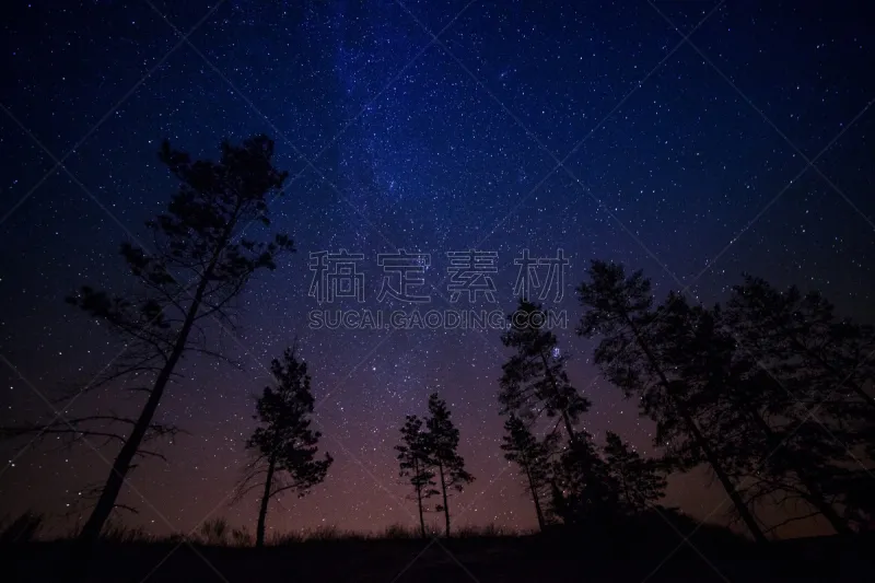 夜晚 背景 天空 水平画幅 科学 星云 星星 星座 枝 街道图片素材下载 稿定素材