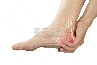 痛苦,人类肌肉,足,跟骨,跎骨,趾骨,胫骨,神经系统,肿胀的,肌腱