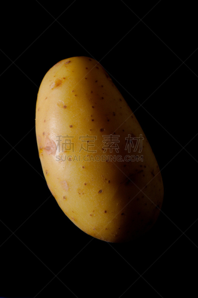 马铃薯,黑色背景,自然,垂直画幅,无人,黑色,植物,荷兰,暗调,暗色