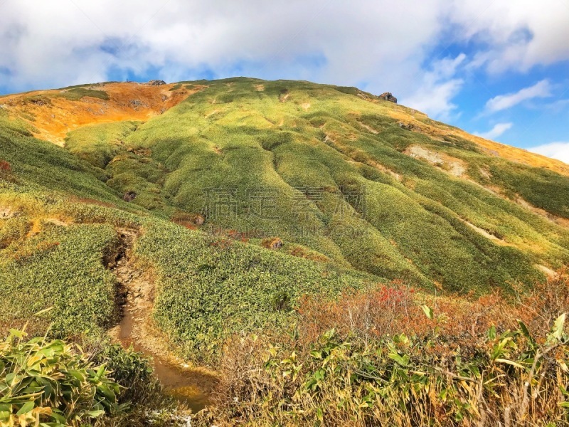 谷川山脉,国内著名景点,枝繁叶茂,背景,岩石,户外,关东地区,晴朗,日本,山谷