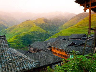 稻,乡村,梯田,传统,龙胜,水稻梯田,水平画幅,山,户外,草