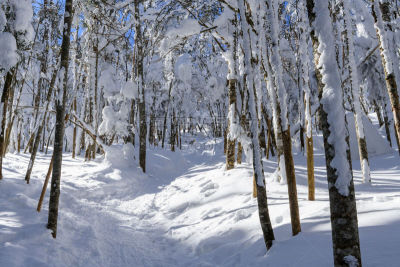 雪,八岳山,北岳山,高尔夫球场,徒步旅行,自然,水平画幅,地形,巴岳山,长野县