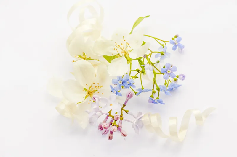 边框 梨 春天 白色背景 苹果 叶子 果树 绿色 花 布置图片素材下载 稿定素材