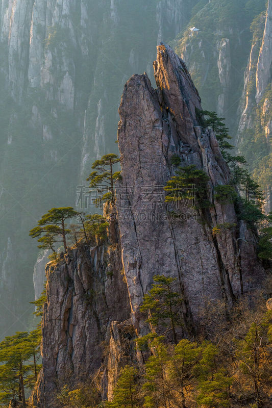 黄山山脉,安徽省,松树,中国,地形,桨叉架船,一只动物,中国东部,旅游