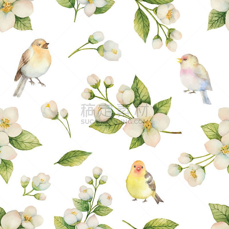 鸟类,四方连续纹样,茉莉,矢量,白色背景,水彩画,分离着色,艺术,纺织品,绘画插图