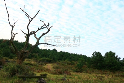제주에 있는 '앞 동산'의 풍경이다.