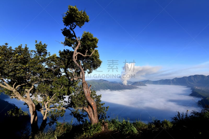 风景,婆罗摩火山,塞梅鲁火山,滕格尔火山,bromo-tengger-semeru national park,东爪哇,火山口,火山地形,烟雾,火山喷口