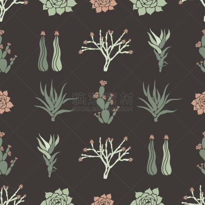 haworthia,长生花,仙人掌,肉质植物,矢量,四方连续纹样,绘画插图,仙人球,食用仙人掌,龙舌兰属植物