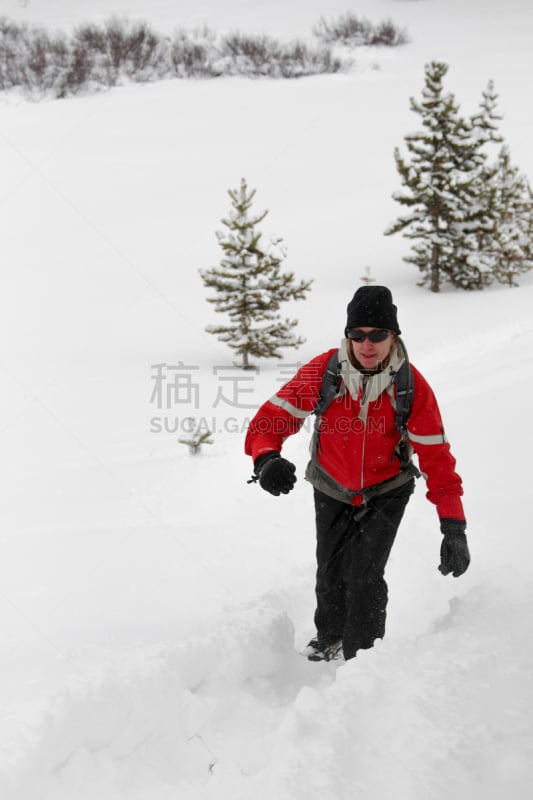 山,女人,穿雪鞋走路运动,红夹克,垂直画幅,洛矶山脉,雪,户外,决心,白人